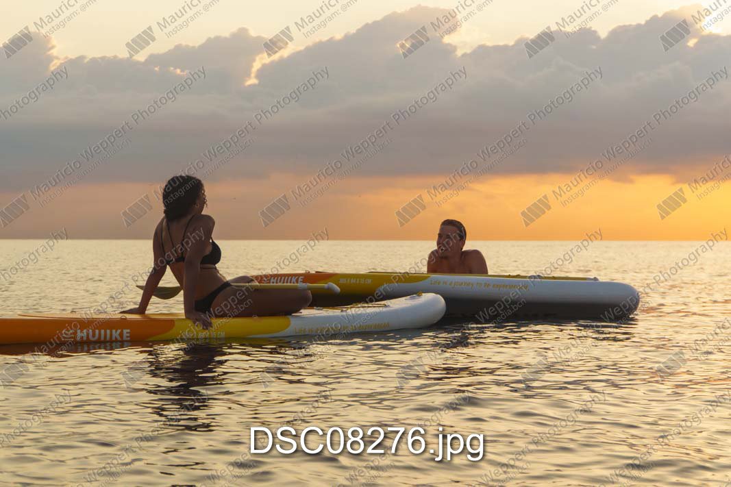 DSC08276.jpg