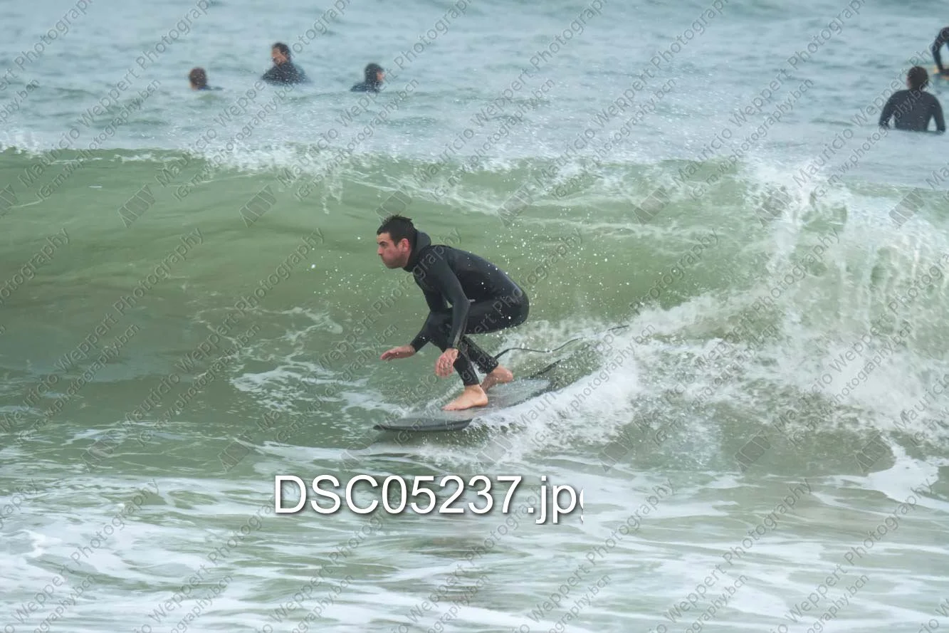 DSC05237.jpg