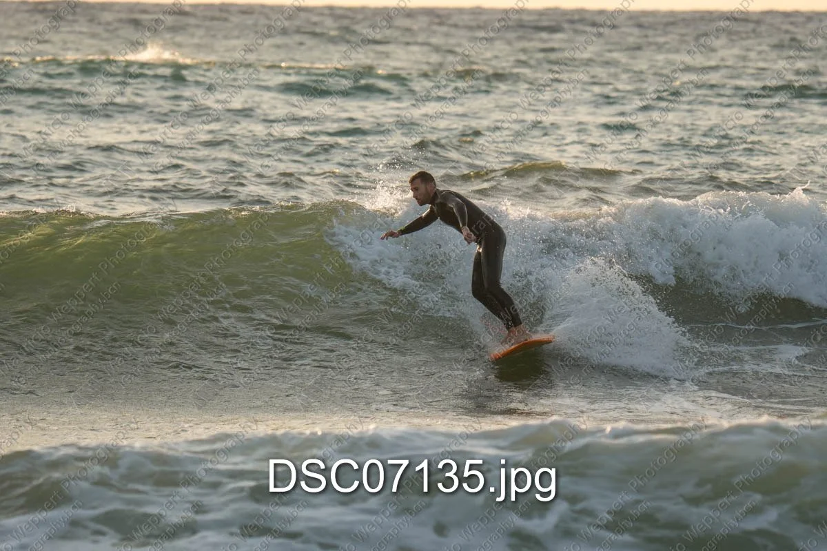 DSC07135.jpg