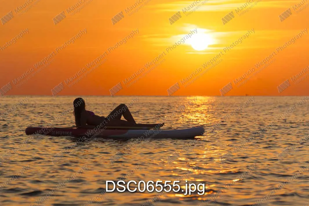 DSC06555.jpg