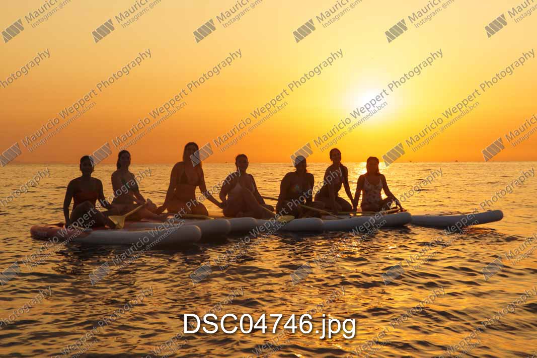 DSC04746.jpg