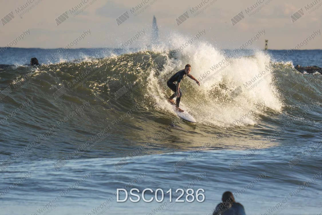 DSC01286.jpg