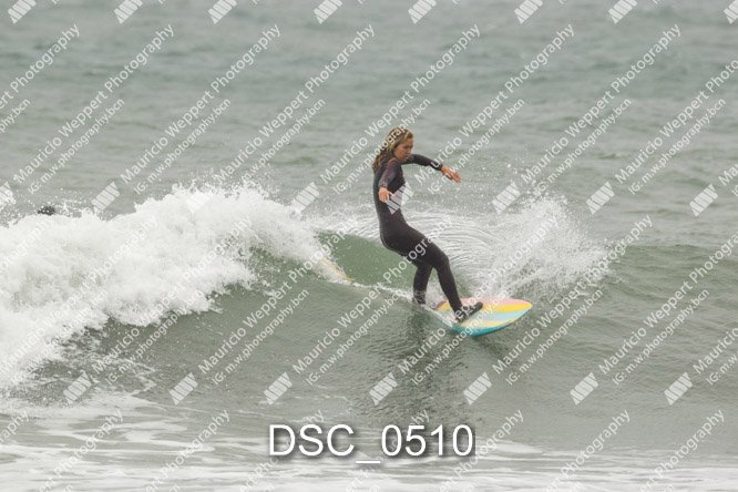 DSC_0510.jpg