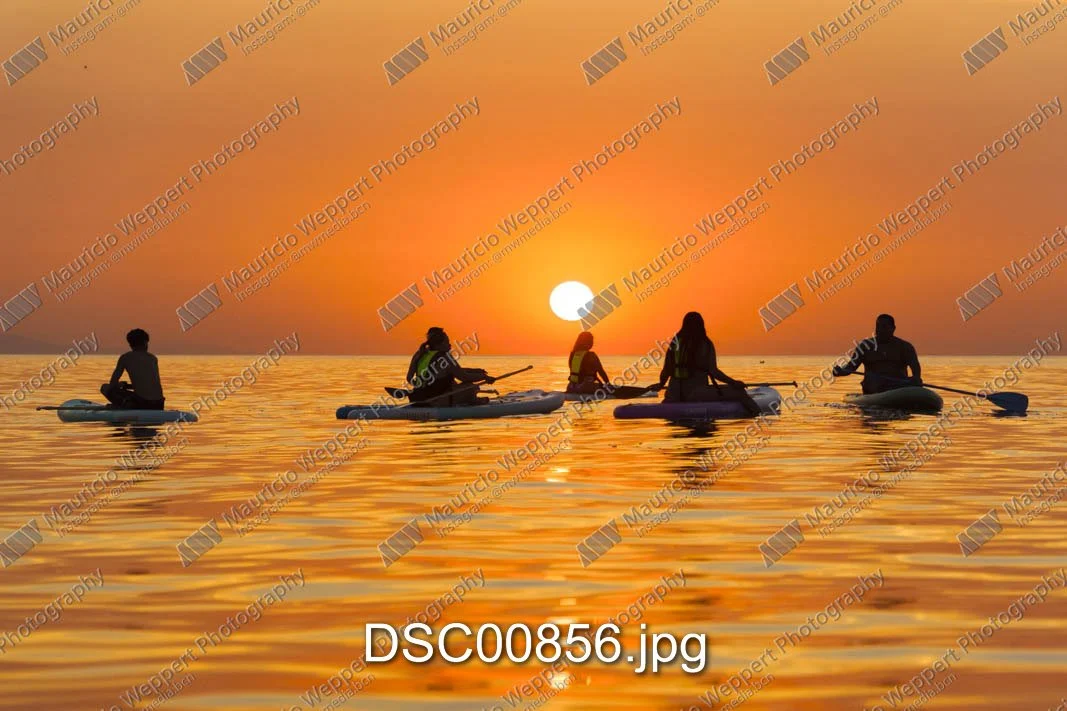 DSC00856.jpg