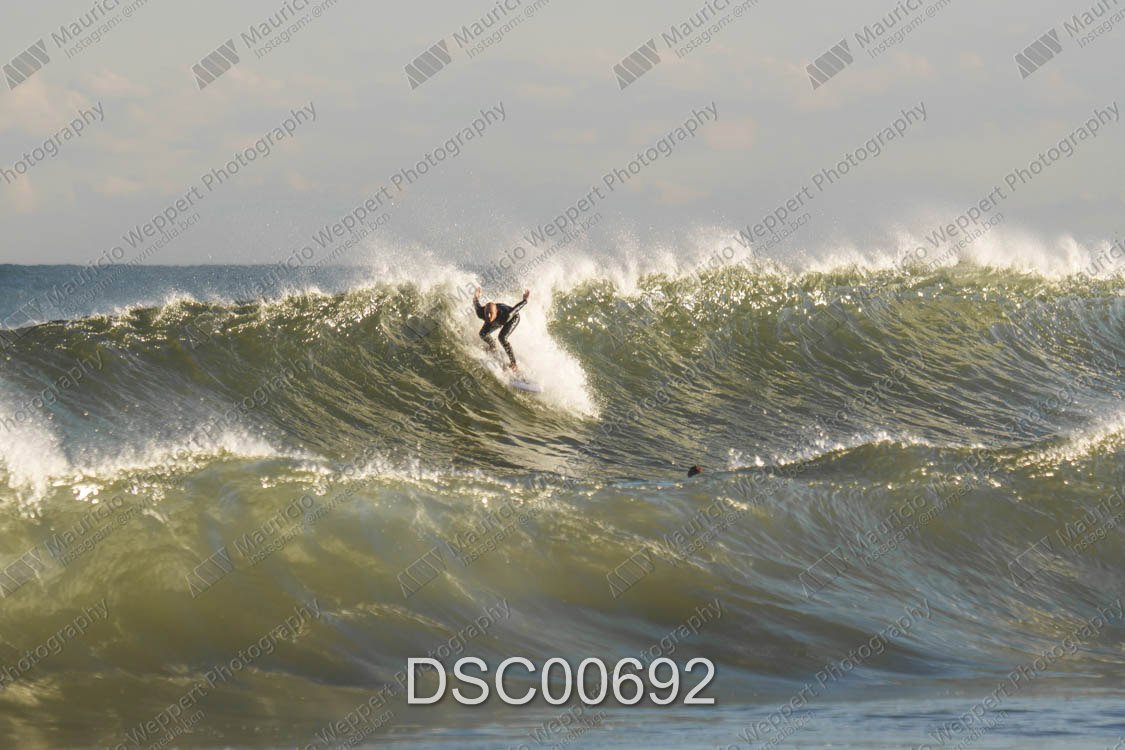 DSC00692.jpg