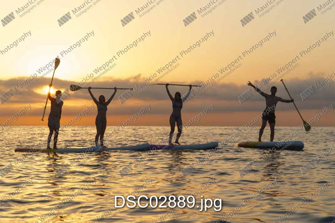 DSC02889.jpg