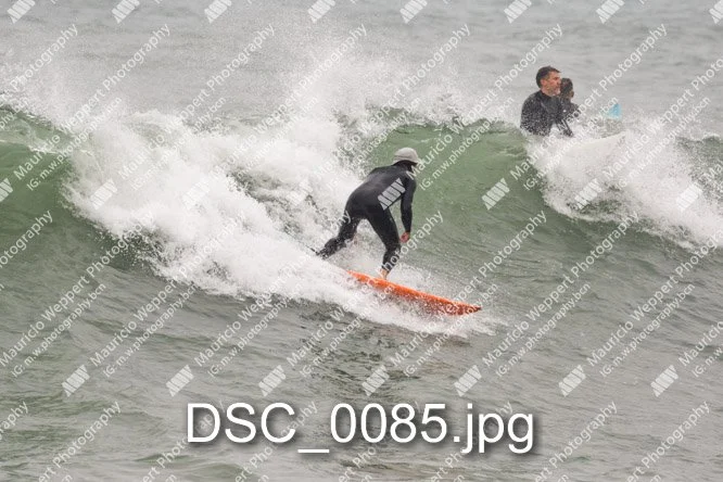 DSC_0085.jpg
