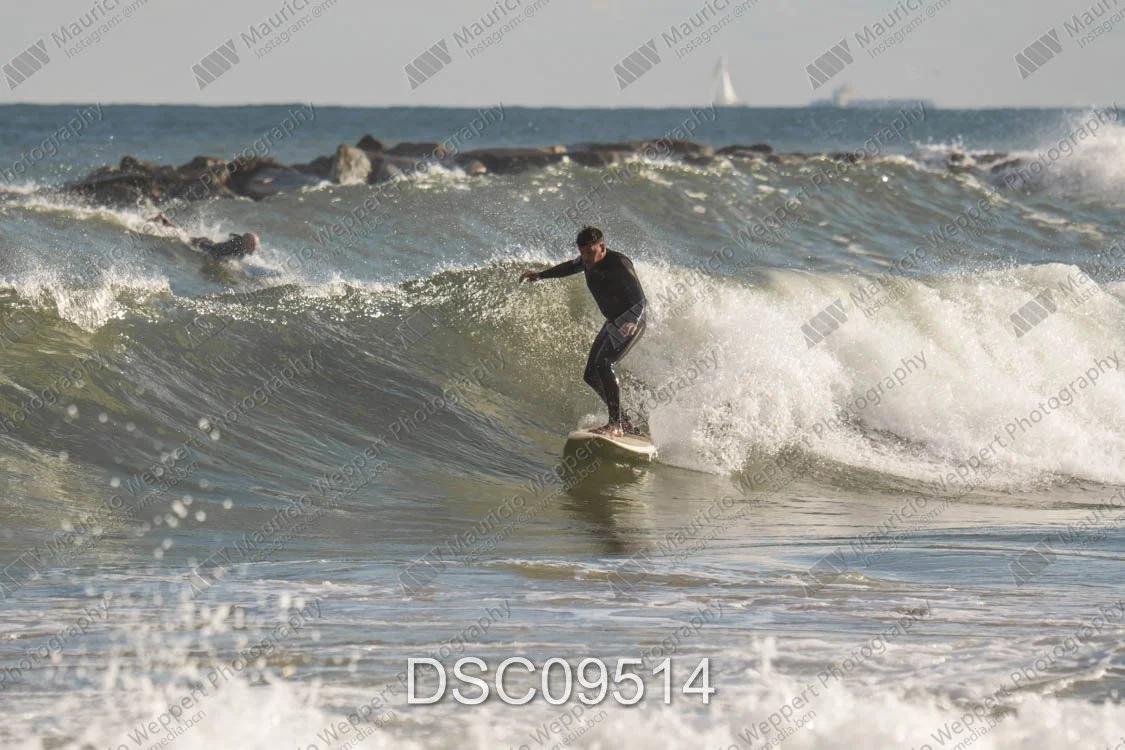 DSC09514.jpg
