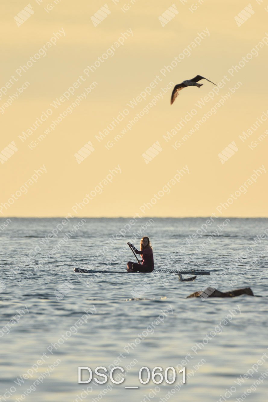 DSC_0601.jpg