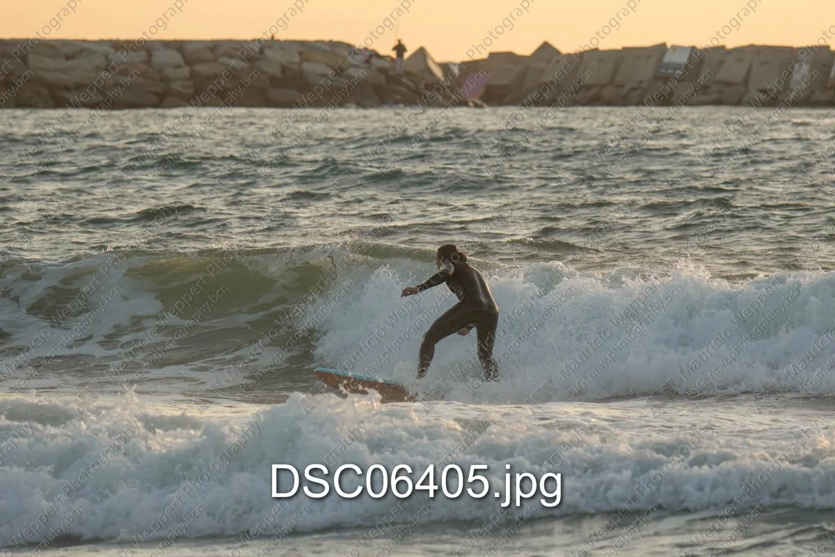 DSC06405.jpg