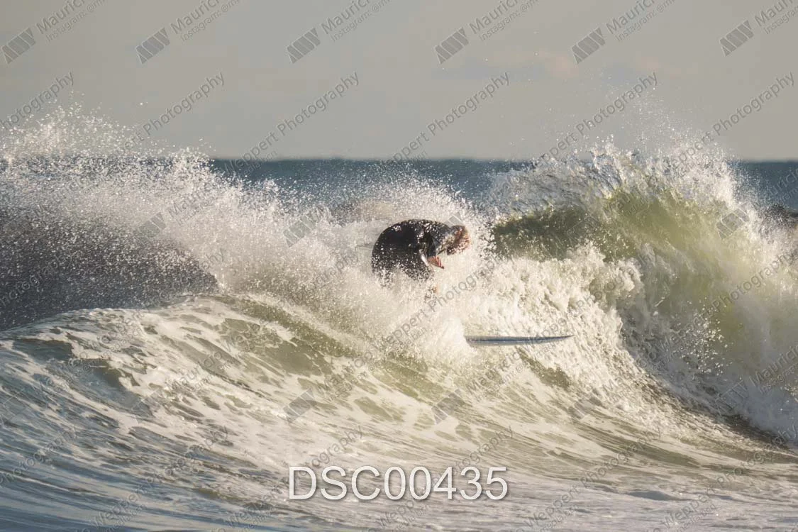 DSC00435.jpg