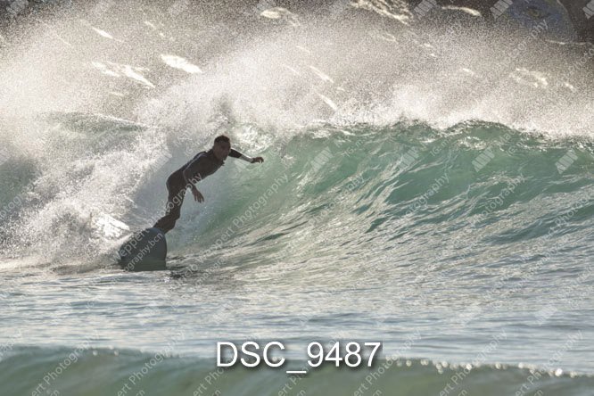 DSC_9487.jpg