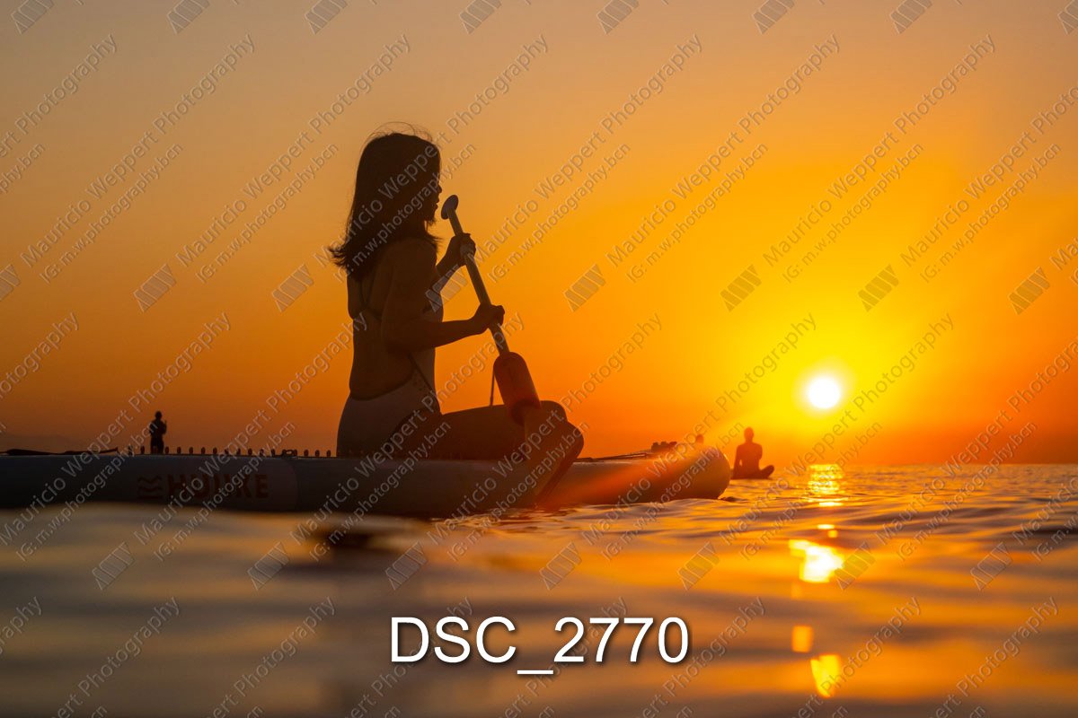 DSC_2770.jpg