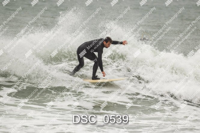 DSC_0539.jpg