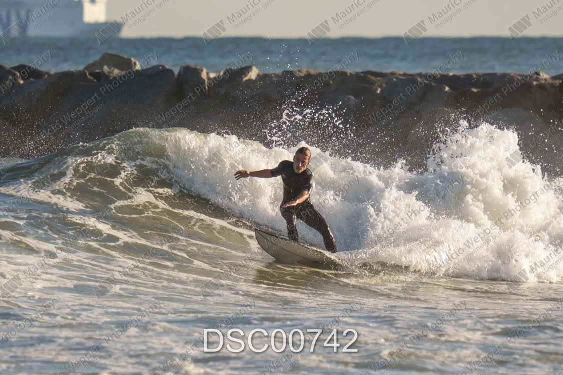 DSC00742.jpg