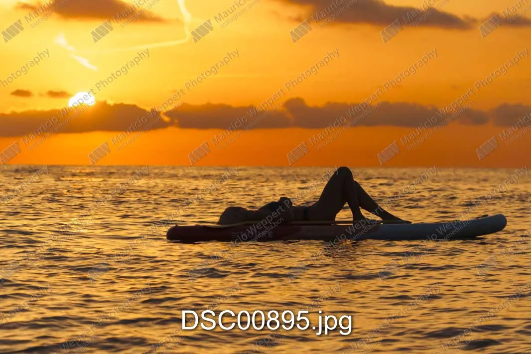 DSC00895.jpg