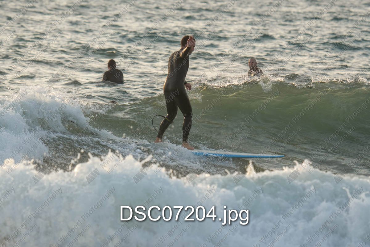 DSC07204.jpg