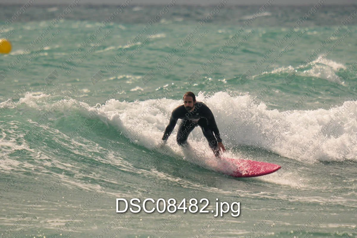 DSC08482.jpg