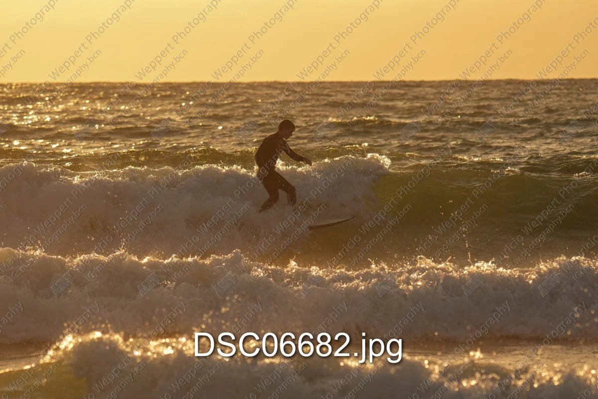 DSC06682.jpg