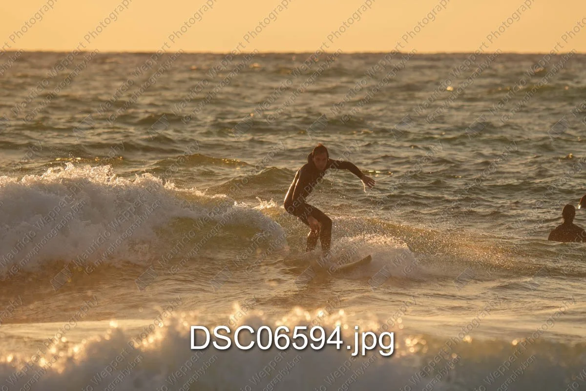 DSC06594.jpg