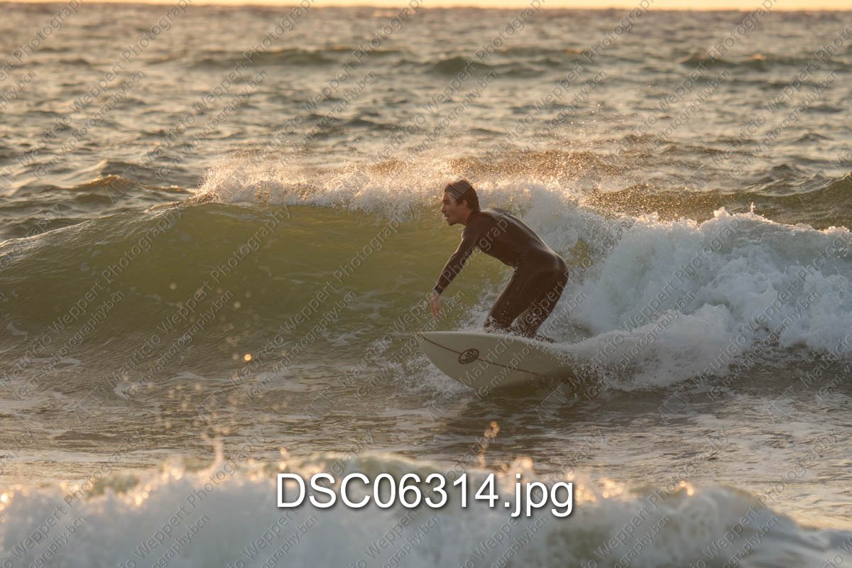 DSC06314.jpg