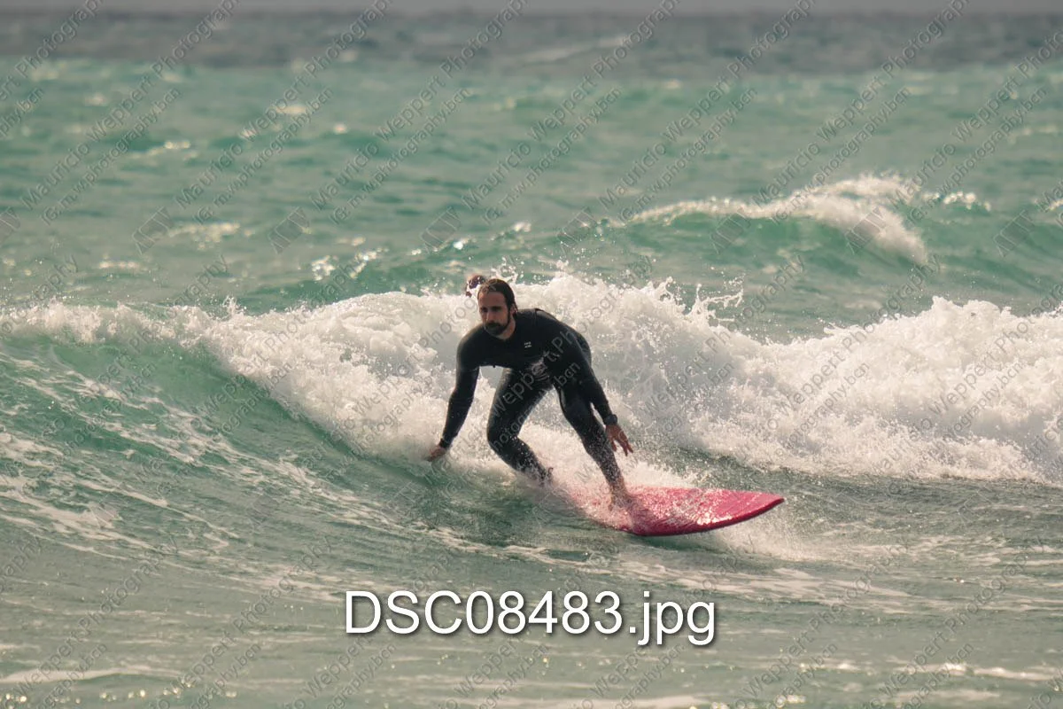 DSC08483.jpg