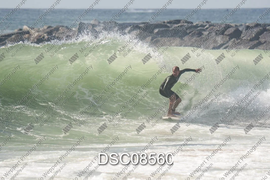 DSC08560.jpg