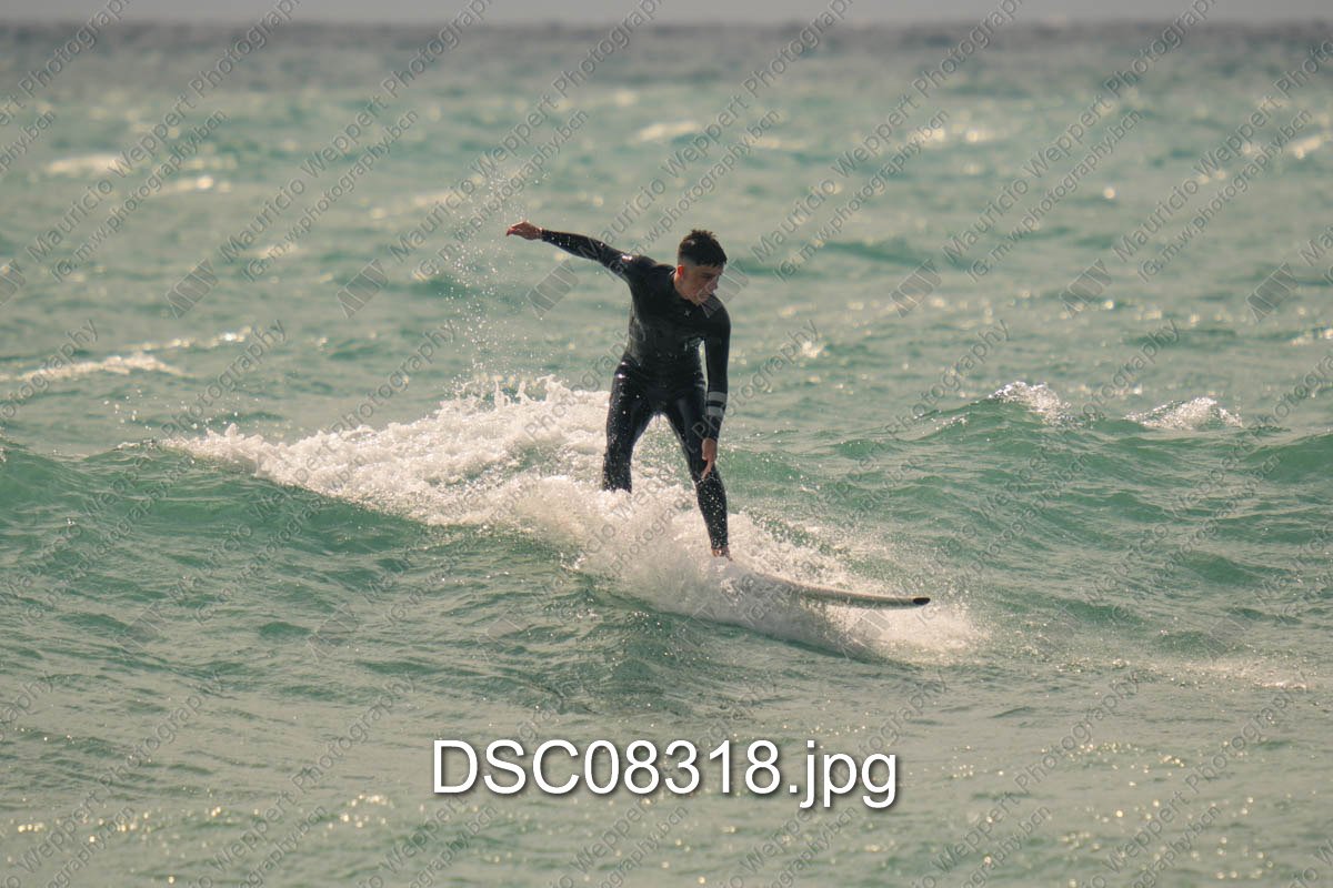 DSC08318.jpg