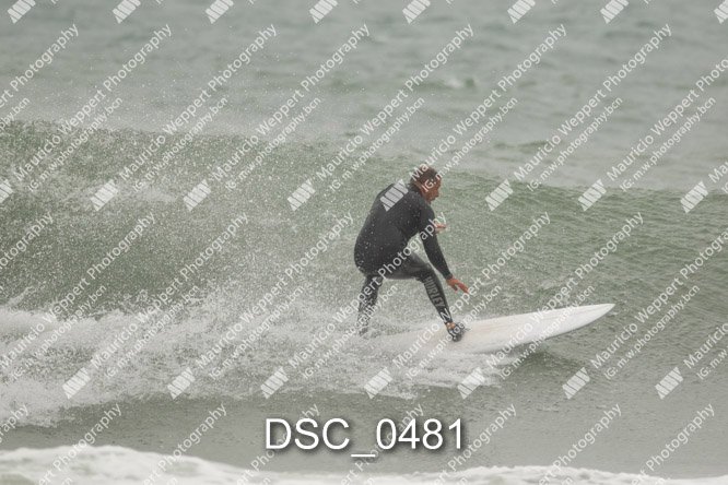 DSC_0481.jpg