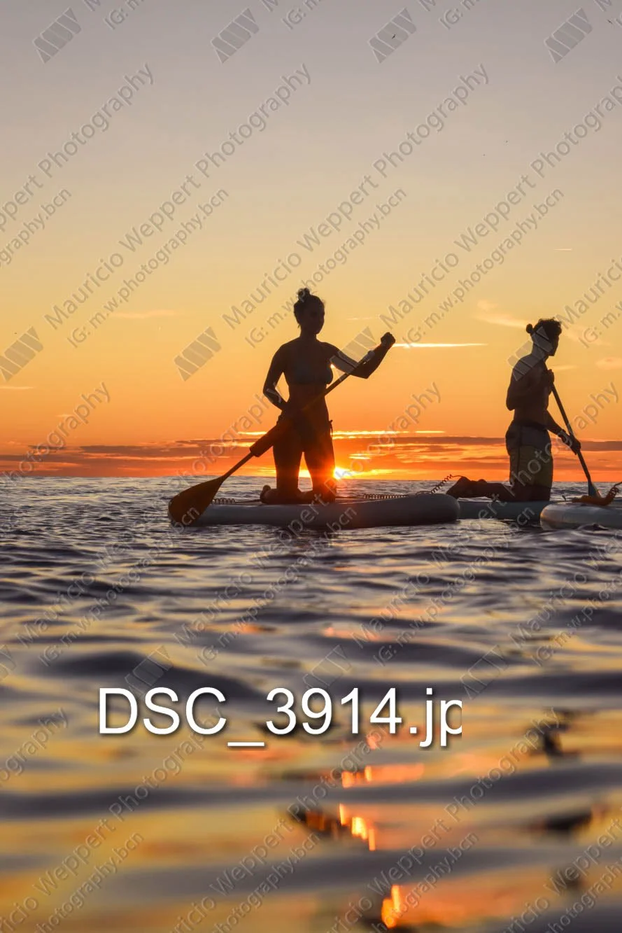 DSC_3914.jpg