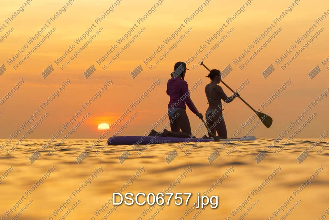 DSC06757.jpg