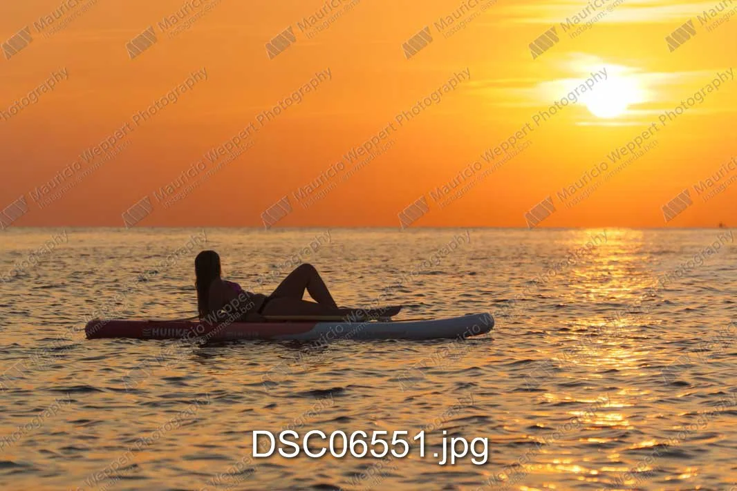 DSC06551.jpg