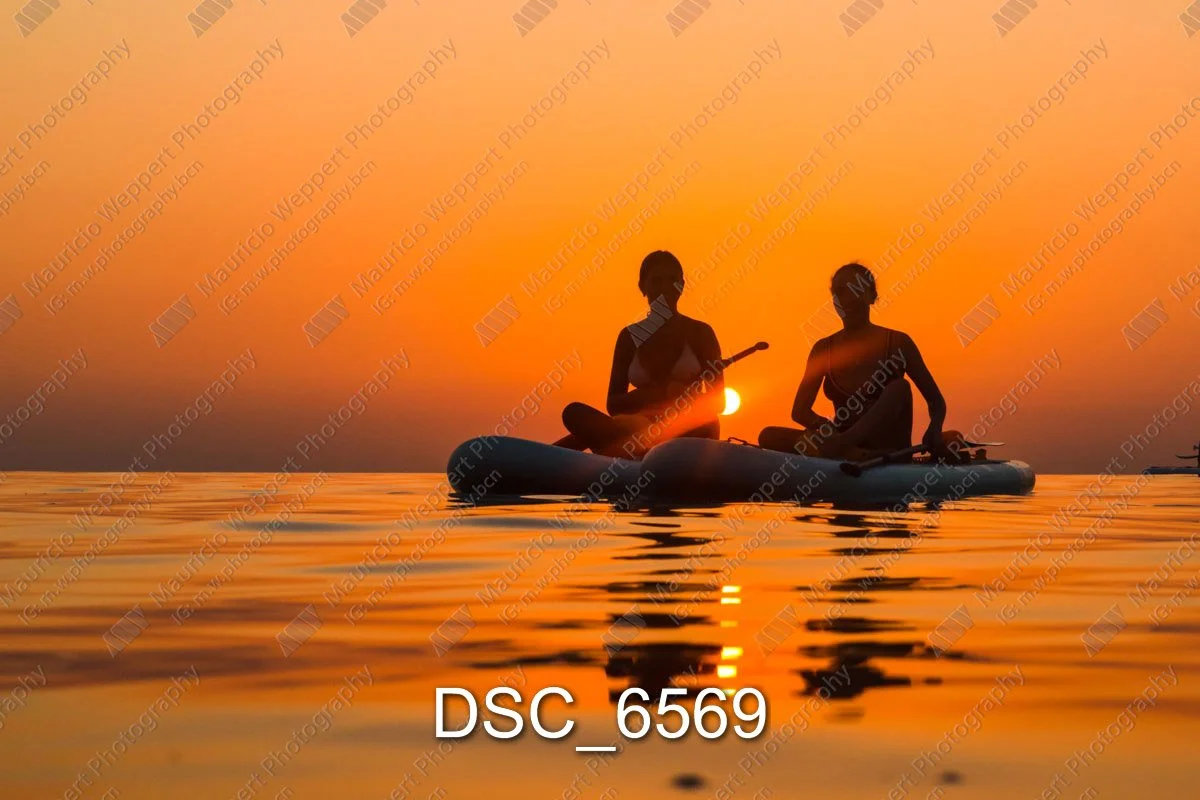 DSC_6569.jpg