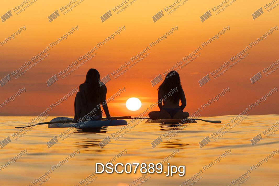 DSC07889.jpg