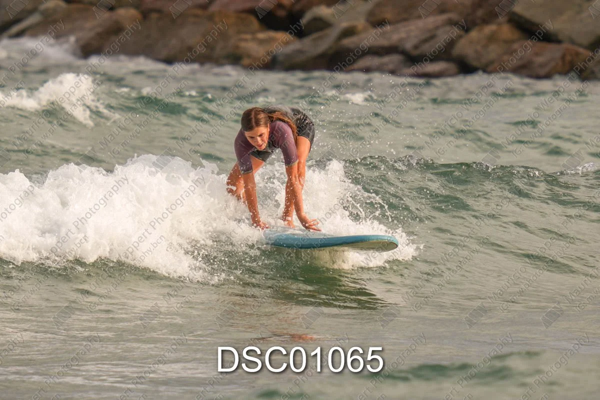 DSC01065.jpg