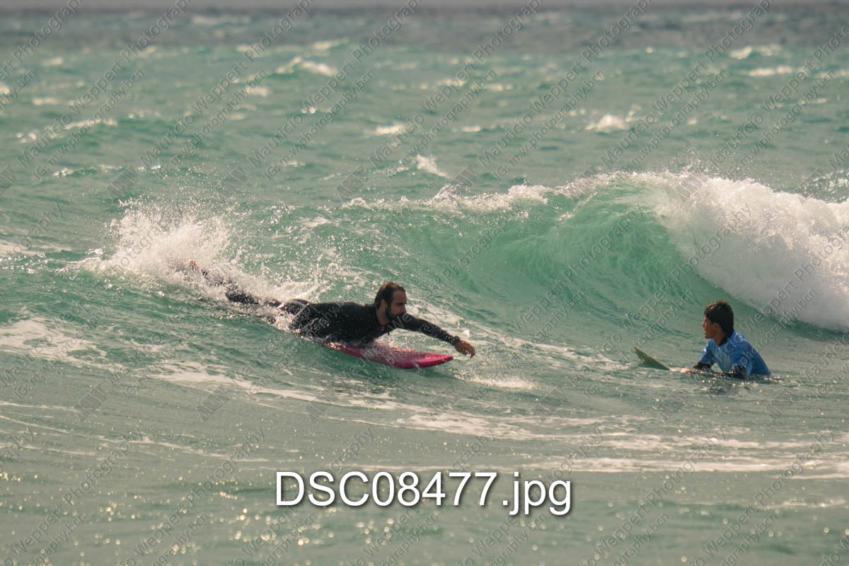 DSC08477.jpg