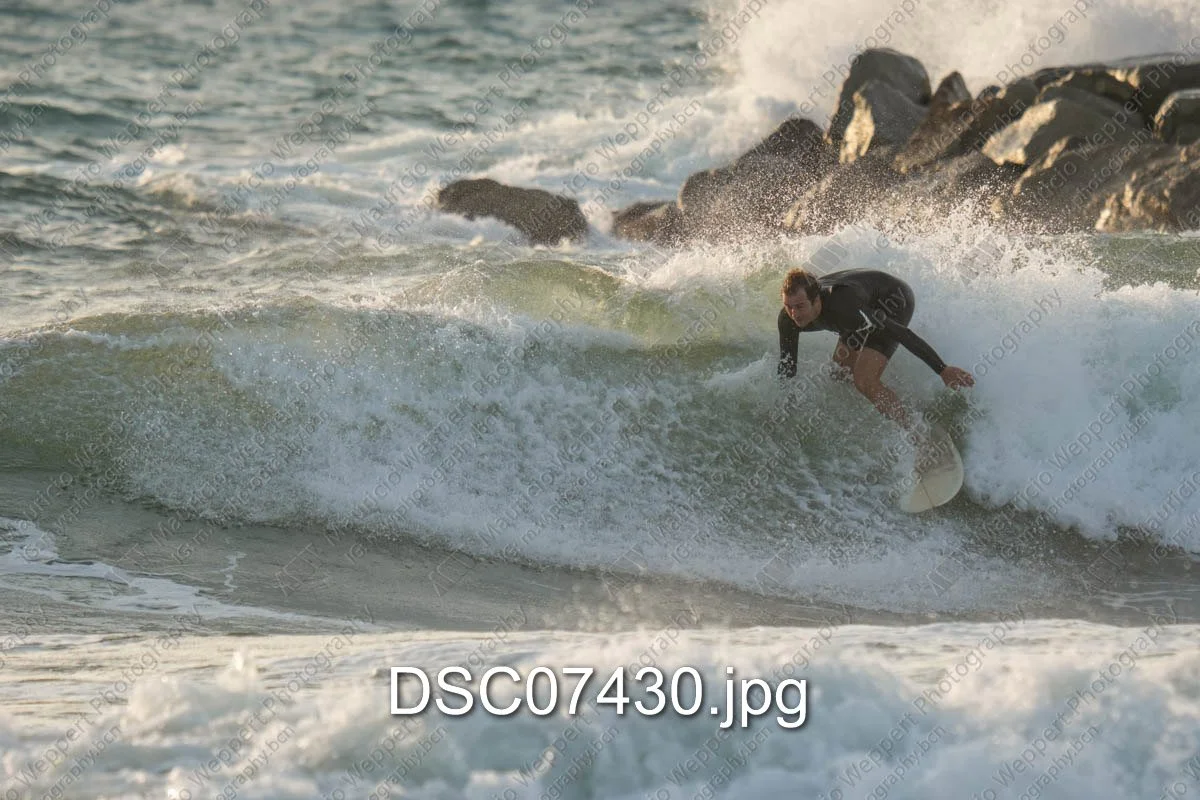 DSC07430.jpg