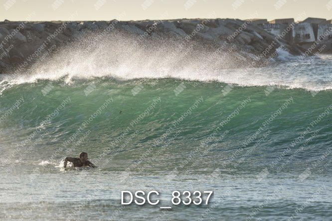 DSC_8337.jpg