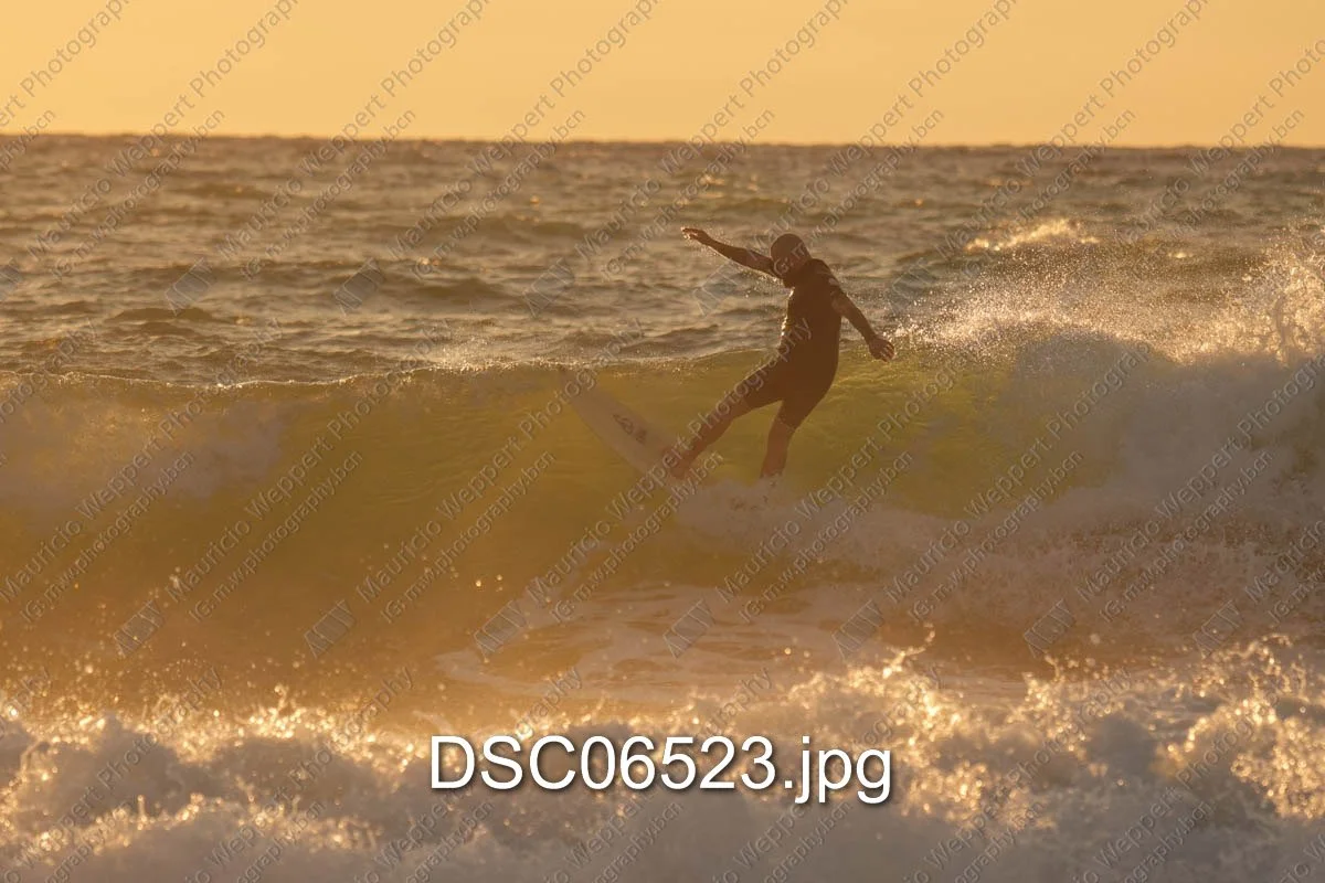 DSC06523.jpg
