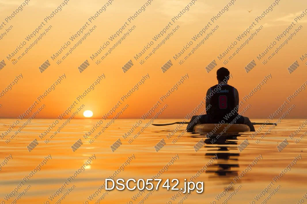 DSC05742.jpg