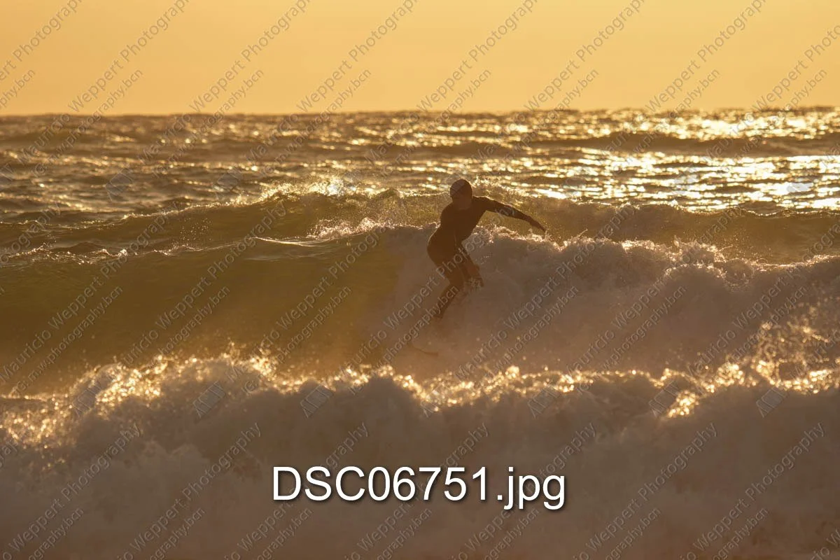 DSC06751.jpg