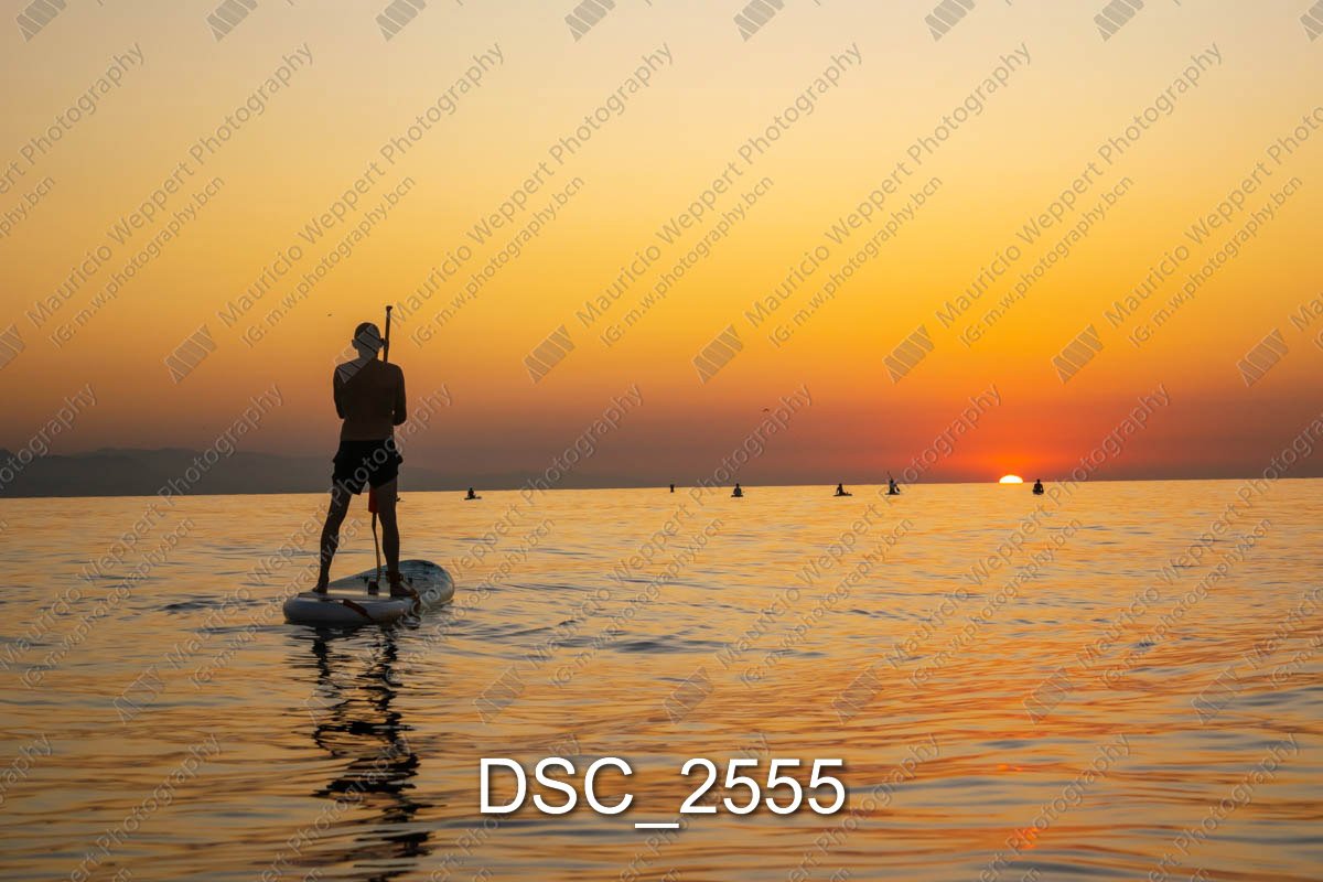 DSC_2555.jpg