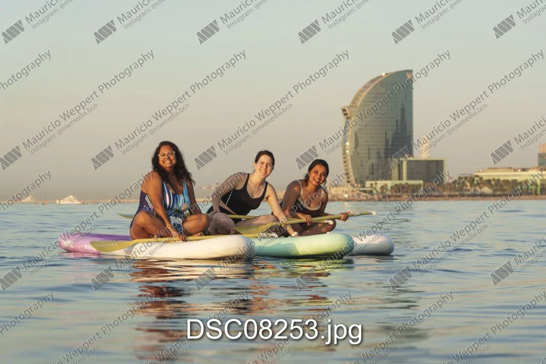 DSC08253.jpg