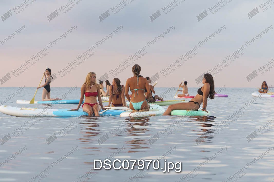 DSC07970.jpg