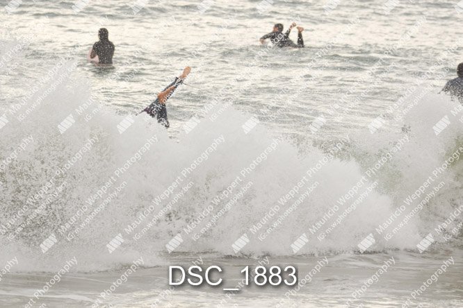 DSC_1883.jpg