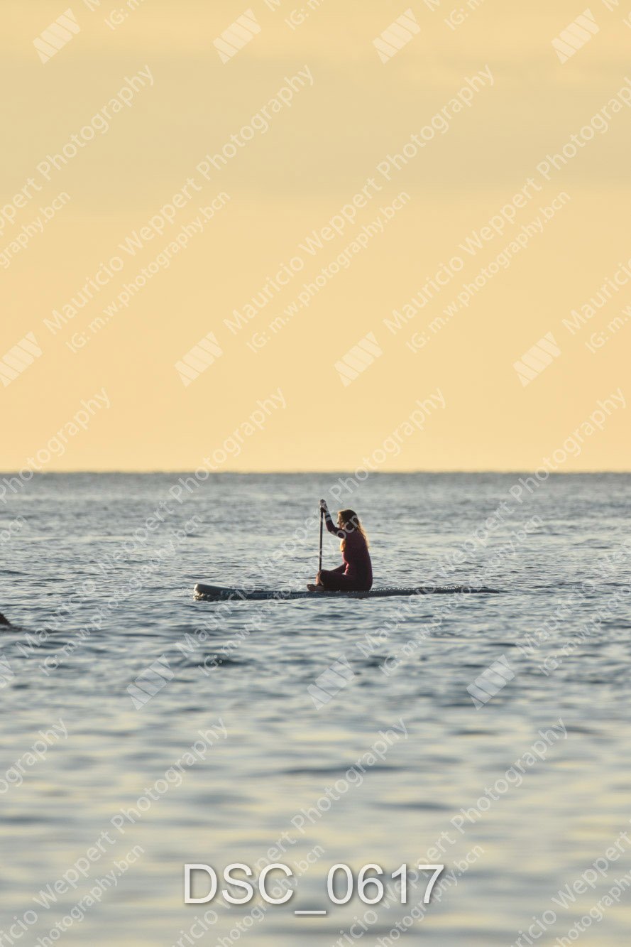 DSC_0617.jpg
