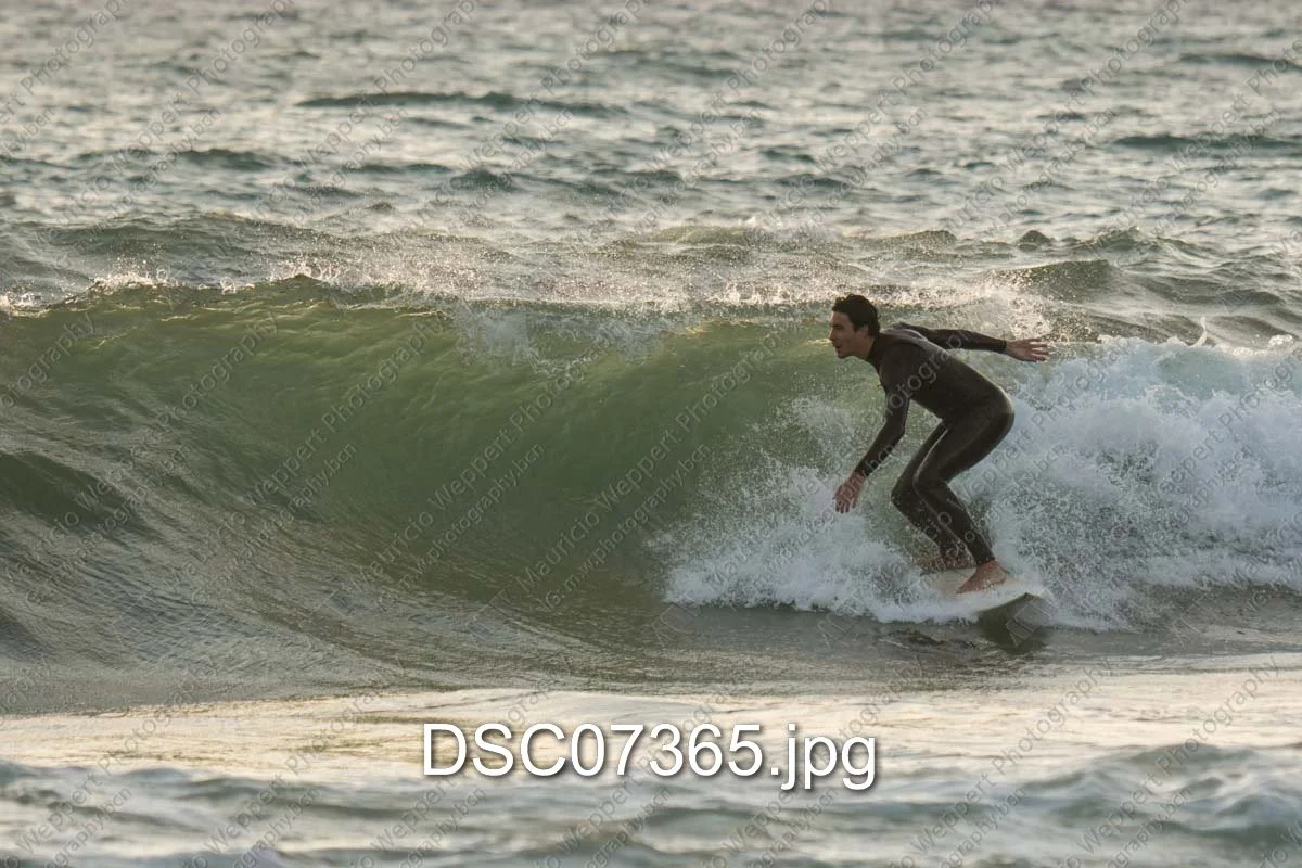 DSC07365.jpg