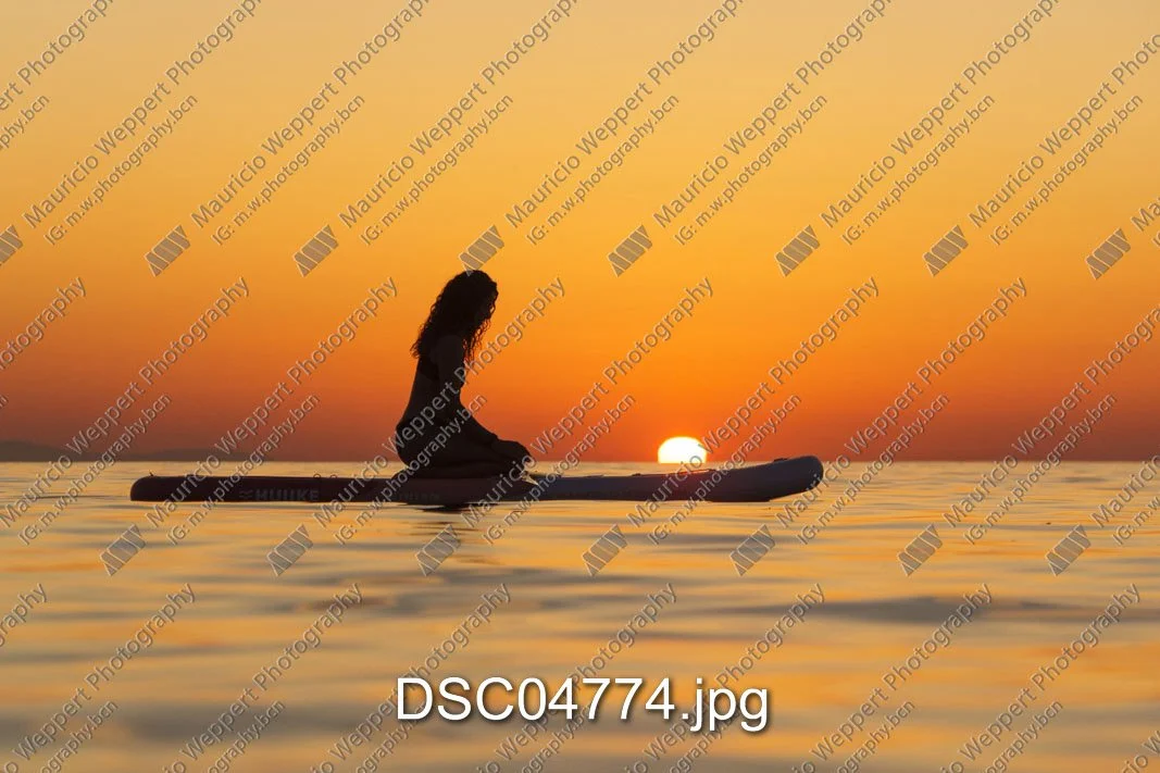 DSC04774.jpg