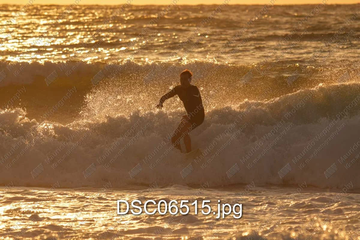 DSC06515.jpg