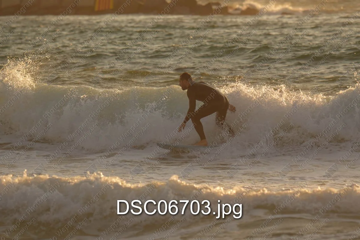 DSC06703.jpg